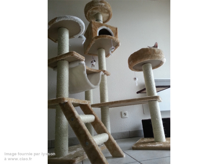 arbre a chat pain d'epice